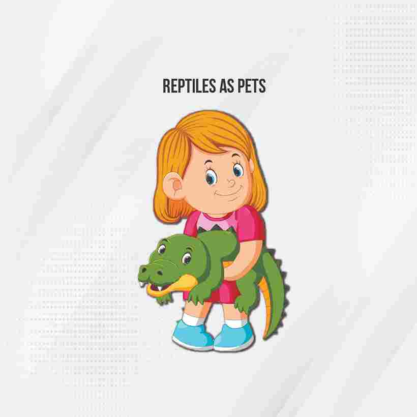 reptiles as pets